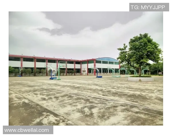 6686体育H5性能优化策略探讨提升用户体验与加载速度的有效方法