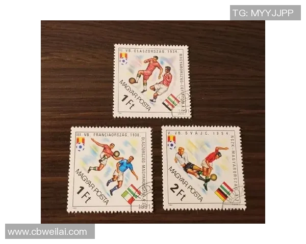 2026世界杯回顾与展望：你我共同铭记的精彩瞬间与感动故事